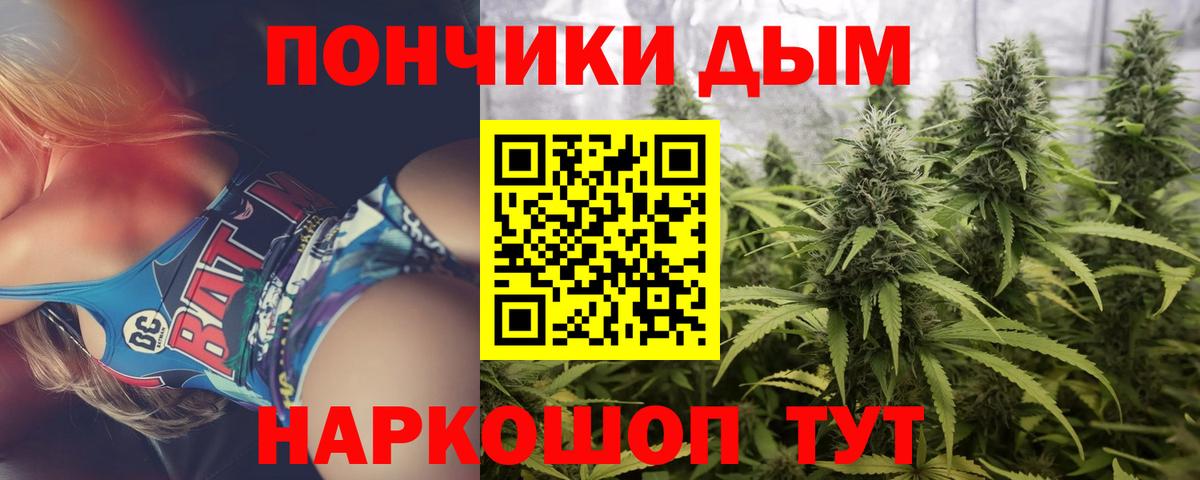 Бошки Шишки ГИДРОПОН  Вход с VPN  Шишки марихуана тримм  Конопля Bruce Banner  Канабис планчик  Ялуторовск 